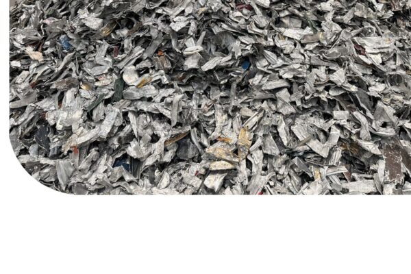 ALU_ENG-ITA-2025-web_Pagina_1