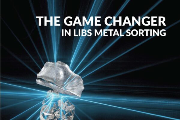 LIBS_ENG-ITA-2025-web_Pagina_1